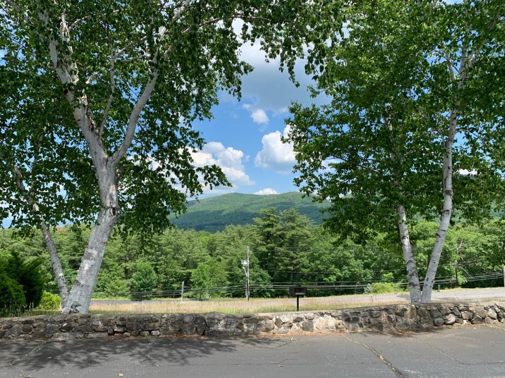 Travelodge By Wyndham Lake George Ny Εξωτερικό φωτογραφία